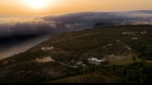 Portugal registr&oacute; h  r&eacute;cord de temperatura en un mes de junio de 46,6 &deg;C, afirma la agencia meteorol&oacute;gica