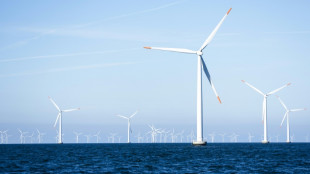 Trump-Regierung ordnet Baustopp f&uuml;r Offshore-Windprojekt in Rhode Island an
