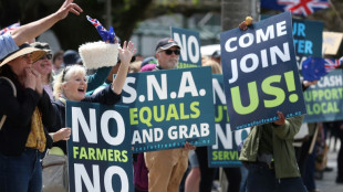 Nouvelle-Z&eacute;lande: des tracteurs dans les villes contre la taxation des pets de vache