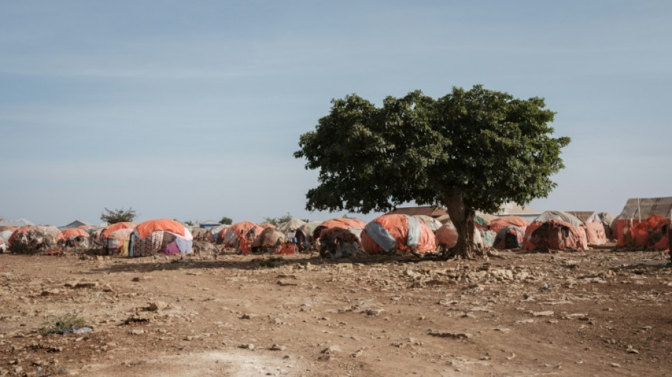 Millones de somal&iacute;es est&aacute;n en riesgo de hambruna, afirman agencias de la ONU