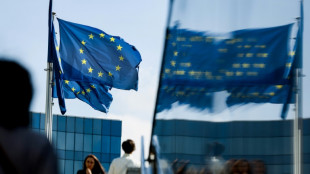 L'Europe &eacute;chappe &agrave; la r&eacute;cession mais s'enfonce dans la stagnation