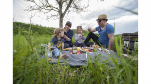 Zecken: Klein, aber gemein