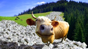 Solução EUDR da Source Intelligence simplifica due diligence em relação ao desmatamento