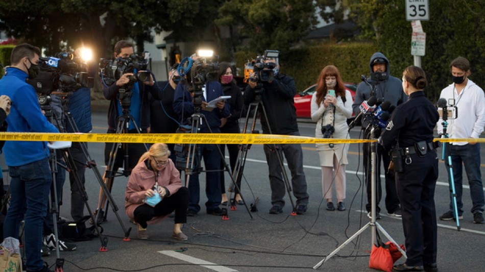 Un estudio muestra beneficios medioambientales de la comida a base de plantas para perros en el Reino Unido