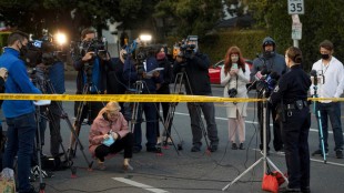 Un estudio muestra beneficios medioambientales de la comida a base de plantas para perros en el Reino Unido